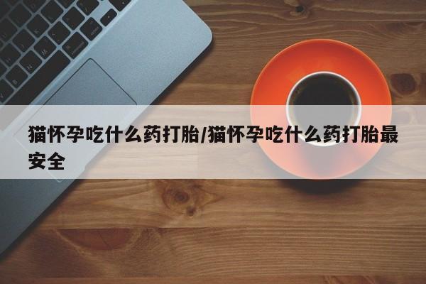 打胎药哪里能买到意外怀孕咨询猫怀孕吃什么药打胎/猫怀孕吃什么药打胎最安全