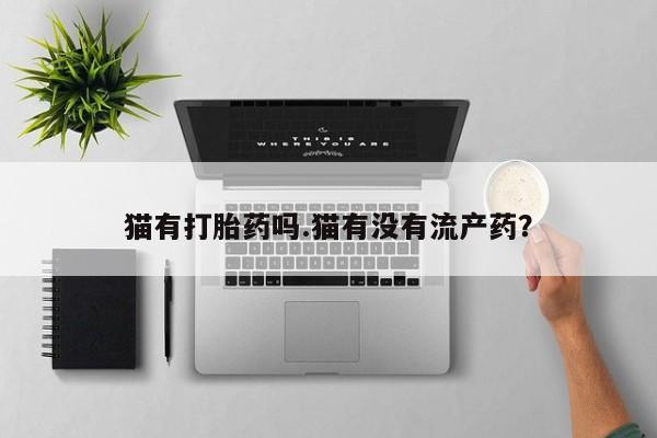 打胎药哪里能买到意外怀孕咨询猫有打胎药吗.猫有没有流产药？